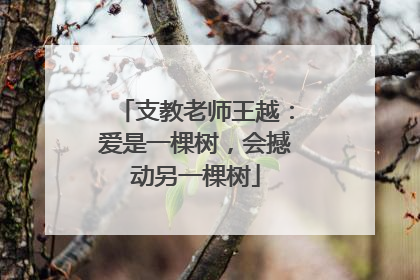 支教老师王越：爱是一棵树，会撼动另一棵树