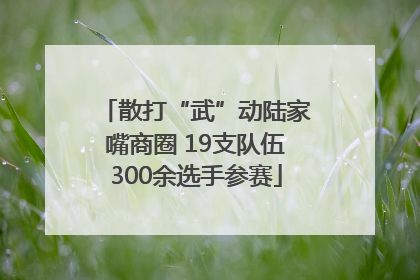 散打“武”动陆家嘴商圈 19支队伍300余选手参赛