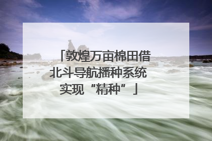 敦煌万亩棉田借北斗导航播种系统实现“精种”