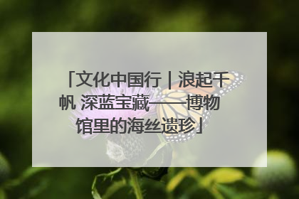 文化中国行｜浪起千帆 深蓝宝藏——博物馆里的海丝遗珍