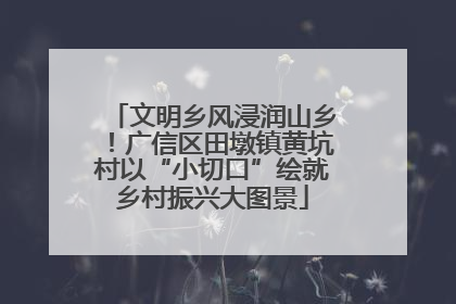 文明乡风浸润山乡！广信区田墩镇黄坑村以“小切口”绘就乡村振兴大图景