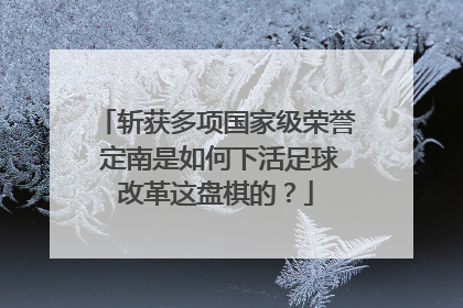斩获多项国家级荣誉 定南是如何下活足球改革这盘棋的？