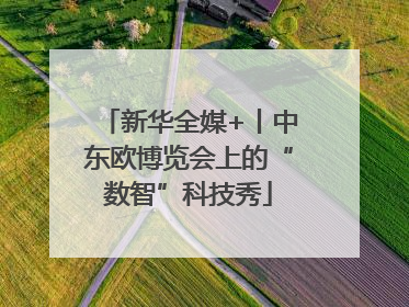 新华全媒+丨中东欧博览会上的“数智”科技秀