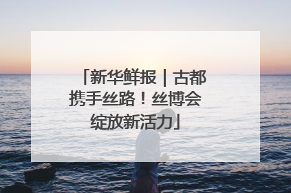 新华鲜报｜古都携手丝路！丝博会绽放新活力