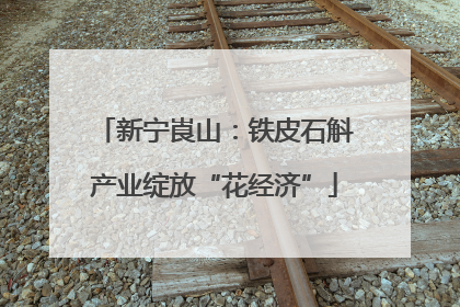 新宁崀山：铁皮石斛产业绽放“花经济”