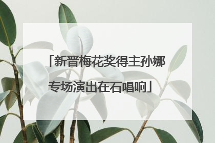 新晋梅花奖得主孙娜专场演出在石唱响