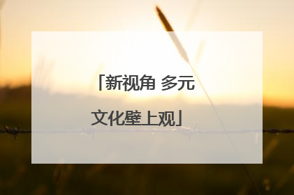 新视角 多元文化壁上观