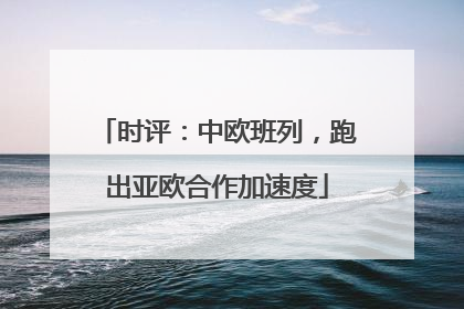 时评：中欧班列，跑出亚欧合作加速度