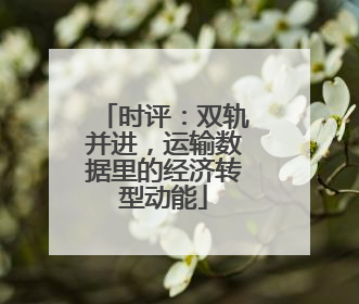 时评：双轨并进，运输数据里的经济转型动能