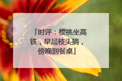 时评：樱桃坐高铁，早晨枝头摘，傍晚到餐桌