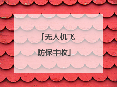 无人机飞防保丰收