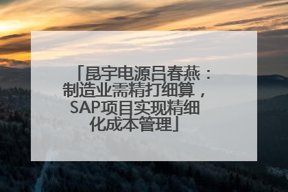 昆宇电源吕春燕：制造业需精打细算，SAP项目实现精细化成本管理