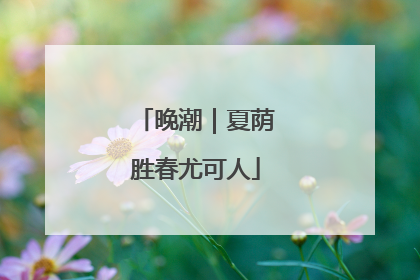 晚潮｜夏荫胜春尤可人