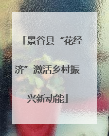 景谷县“花经济”激活乡村振兴新动能