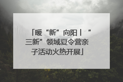 暖“新”向阳丨“三新”领域夏令营亲子活动火热开展