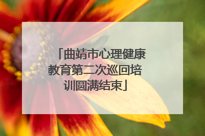 曲靖市心理健康教育第二次巡回培训圆满结束