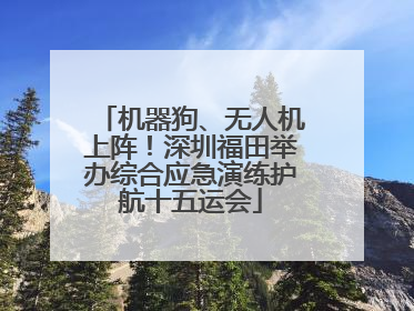 机器狗、无人机上阵！深圳福田举办综合应急演练护航十五运会