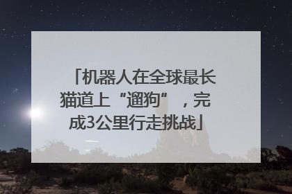 机器人在全球最长猫道上“遛狗”，完成3公里行走挑战