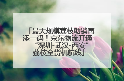 最大规模荔枝助销再添一码！京东物流开通“深圳-武汉-西安” 荔枝全货机航线