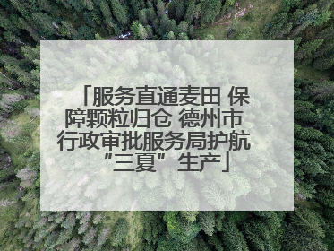 服务直通麦田 保障颗粒归仓 德州市行政审批服务局护航“三夏”生产