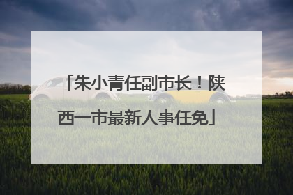 朱小青任副市长！陕西一市最新人事任免
