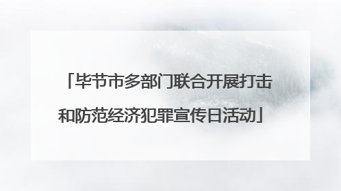 毕节市多部门联合开展打击和防范经济犯罪宣传日活动