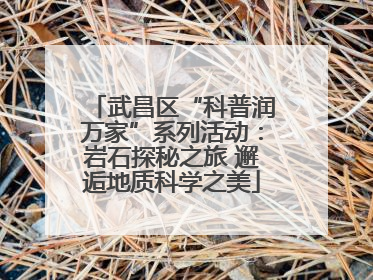 武昌区“科普润万家”系列活动：岩石探秘之旅 邂逅地质科学之美