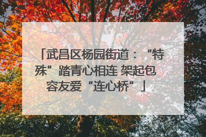 武昌区杨园街道：“特殊”踏青心相连 架起包容友爱“连心桥”