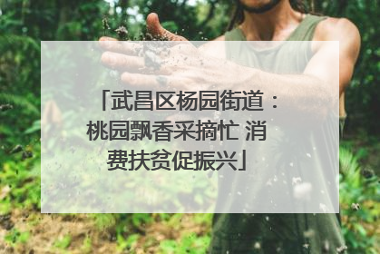 武昌区杨园街道：桃园飘香采摘忙 消费扶贫促振兴