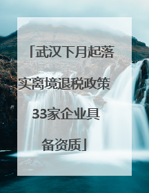武汉下月起落实离境退税政策 33家企业具备资质