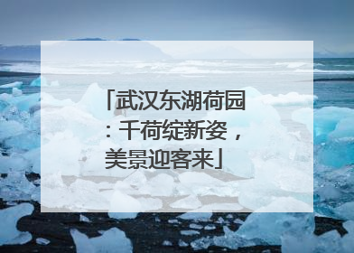 武汉东湖荷园：千荷绽新姿，美景迎客来
