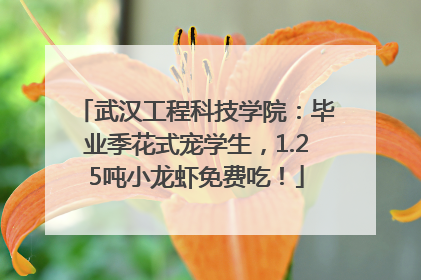 武汉工程科技学院：毕业季花式宠学生，1.25吨小龙虾免费吃！