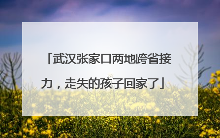 武汉张家口两地跨省接力，走失的孩子回家了