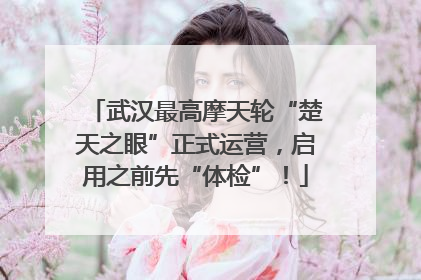武汉最高摩天轮“楚天之眼”正式运营，启用之前先“体检”！