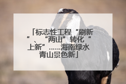 标志性工程“刷新”、“两山”转化“上新”……海南绿水青山景色新