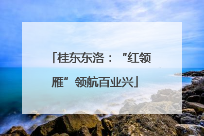 桂东东洛：“红领雁”领航百业兴
