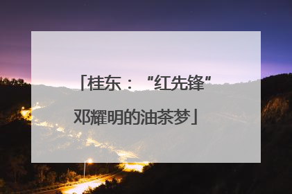 桂东：“红先锋”邓耀明的油茶梦