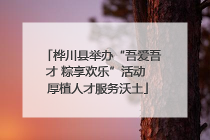 桦川县举办“吾爱吾才 粽享欢乐”活动 厚植人才服务沃土