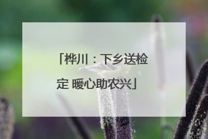 桦川：下乡送检定 暖心助农兴