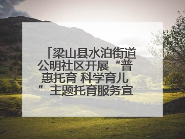 梁山县水泊街道公明社区开展“普惠托育 科学育儿”主题托育服务宣传活动