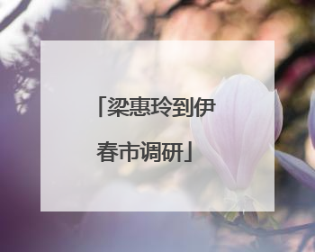 梁惠玲到伊春市调研