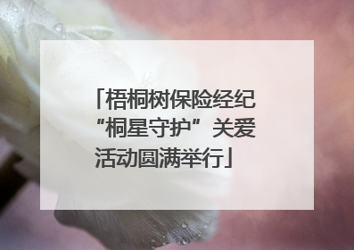 梧桐树保险经纪“桐星守护”关爱活动圆满举行