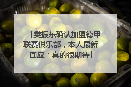 樊振东确认加盟德甲联赛俱乐部，本人最新回应：真的很期待