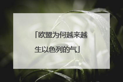 欧盟为何越来越生以色列的气