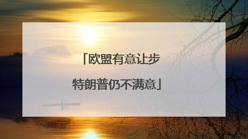 欧盟有意让步 特朗普仍不满意