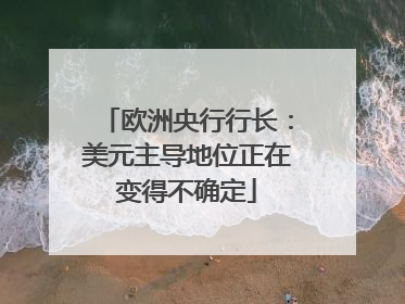 欧洲央行行长：美元主导地位正在变得不确定