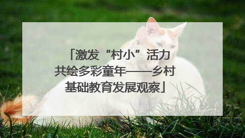 激发“村小”活力 共绘多彩童年——乡村基础教育发展观察
