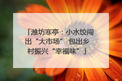 潍坊寒亭：小水饺闯出“大市场” 包出乡村振兴“幸福味”