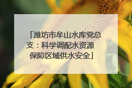 潍坊市牟山水库党总支：科学调配水资源 保障区域供水安全