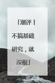 潮评丨不搞基础研究，就没根